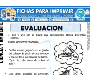Evaluación de Ciencia y Ambiente para Segundo de Primaria