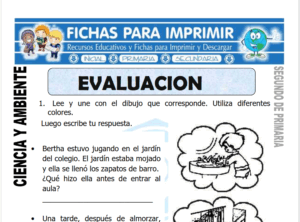 Cuestionario de Ciencia y Ambiente para Segundo de Primaria
