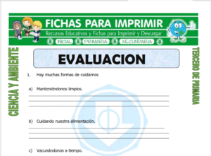 Cuestionario de Ciencia y Ambiente para Tercero de Primaria
