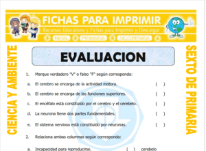 Cuestionario de Ciencia y Ambiente para Sexto de Primaria