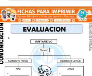 Evaluación de Comunicación  para Segundo de Primaria
